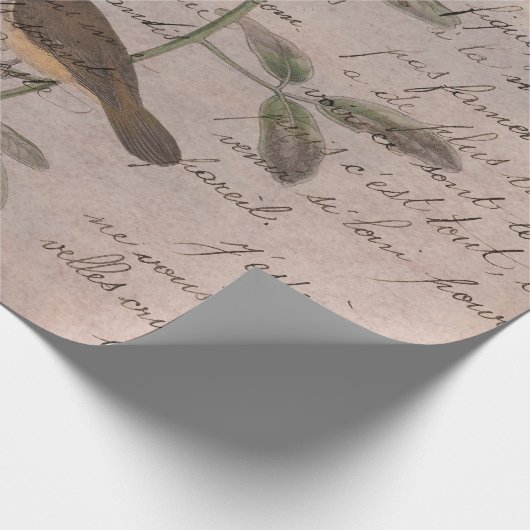 vogels op bijkantoren met schrijven cadeaupapier (Hoek)