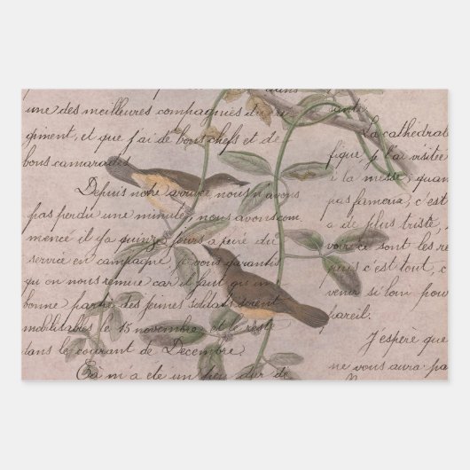  vogels op bijkantoren met schrijven inpakpapier vel (Voorkant 3)