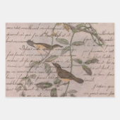 vogels op bijkantoren met schrijven inpakpapier vel (Voorkant 2)