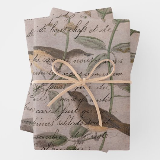  vogels op bijkantoren met schrijven inpakpapier vel (In situ)