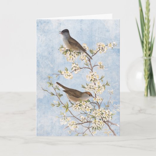 vogels op bloeiende tak Blauwe hemel Blank Bedankkaart (Voorkant)