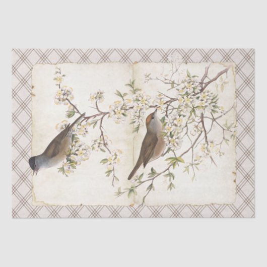 Vogels op bloeiende vertakkingsdiamanten tissuepapier (Voorkant)