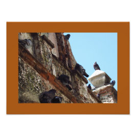 Vogels op Chapel op Old San Juan Foto Afdruk