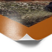 Vogels op Chapel op Old San Juan Foto Afdruk (Hoek)