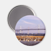 Vogels op Chesapeake Bay Magneet (Voorkant / Achterkant)