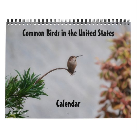 Vogels op de Amerikaanse kalender (Hoes)