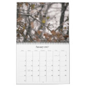 Vogels op de Amerikaanse kalender (Jan 2027)