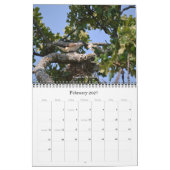 Vogels op de Amerikaanse kalender (Feb 2027)
