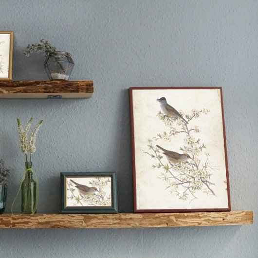 Vogels op de Drijvende Vertakking van de Ontkoppel Tissuepapier