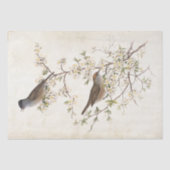 Vogels op de Drijvende Vertakking van de Ontkoppel Tissuepapier (Voorkant)