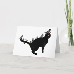 Vogels op de Kaart van de kat