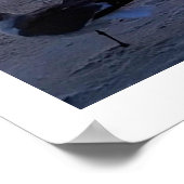 Vogels op de kust poster (Hoek)