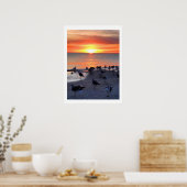 Vogels op de kust poster (Keuken)