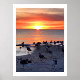 Vogels op de oever poster