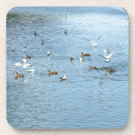 Vogels op de zomerrivier bier onderzetter
