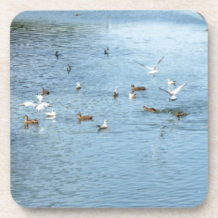 Vogels op de zomerrivier bier onderzetter