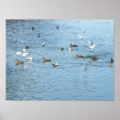 Vogels op de zomerrivier poster (Voorkant)