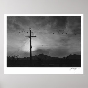 Vogels op draad, Avonds 1943 Poster