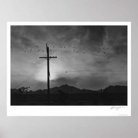 Vogels op draad, Avonds 1943 Poster (Voorkant)