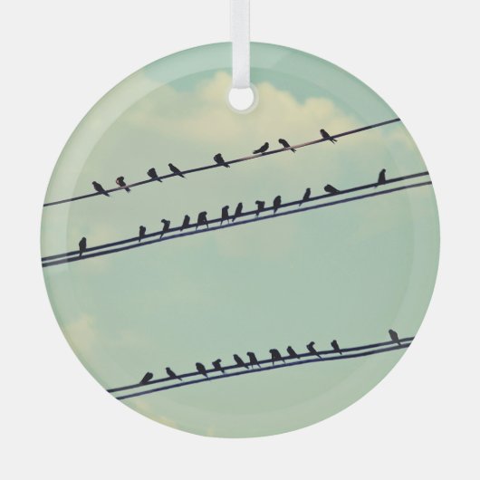 Vogels op draden,  blauwe lucht. glas ornament (Voorkant)