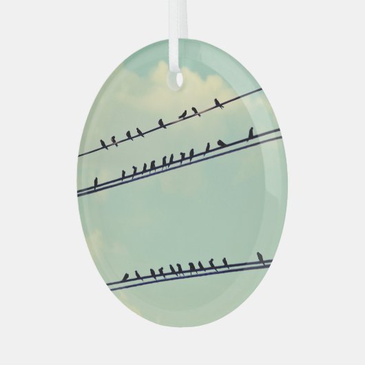 Vogels op draden,  blauwe lucht. glas ornament (Voorkant links)