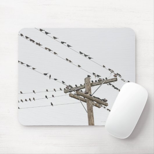 Vogels op draden muismat (Met muis)