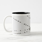 Vogels op draden tweekleurige koffiemok (Links)