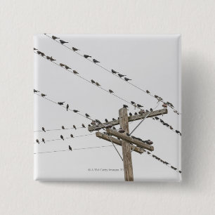 Vogels op draden vierkante button 5,1 cm