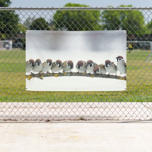 VOGELS OP een Banner van de TAK (Insitu)