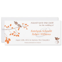 Vogels op een bijkantoor Oranje & bruin sparen de 