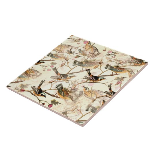 Vogels op een bijkantoor tegeltje (Zijkant)