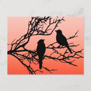 Vogels op een bijkantoor, zwart tegen zonneschijn briefkaart