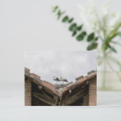 Vogels op een dak briefkaart (Staand voorkant)