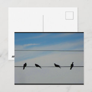 Vogels op een Draad Briefkaart
