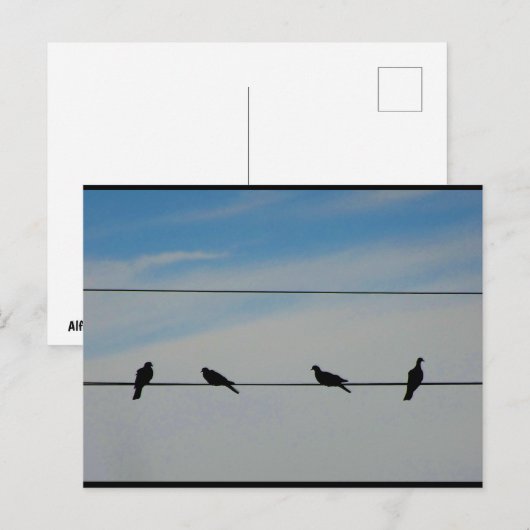 Vogels op een Draad Briefkaart (Voorkant / Achterkant)