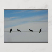 Vogels op een Draad Briefkaart (Voorkant)