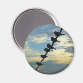 Vogels op een draad magneet (Voorkant / Achterkant)