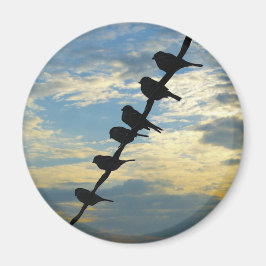 Vogels op een draad magneet