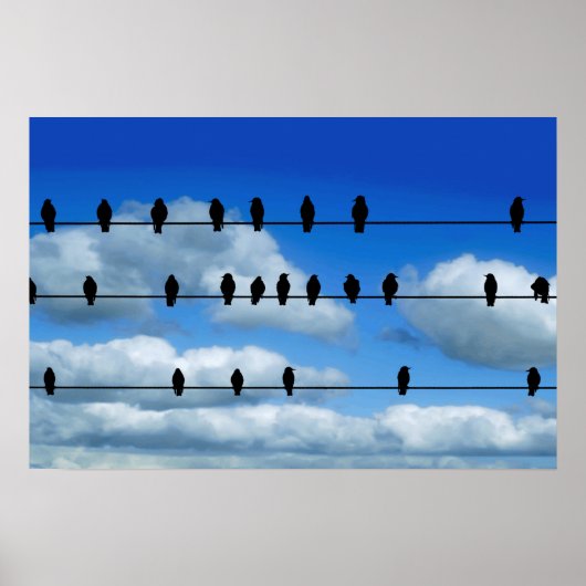 vogels op een draad poster (Voorkant)