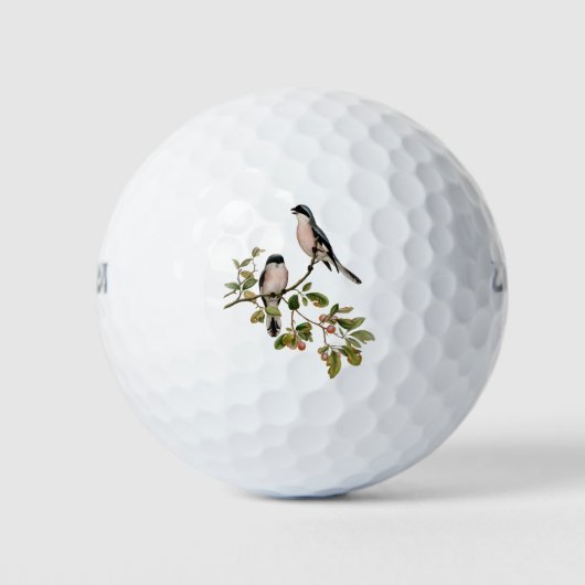 vogels op een filiaal golfballen (Voorkant)