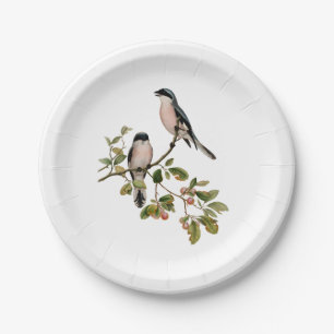 vogels op een filiaal papieren bordje