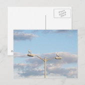 Vogels op een Lamp Post Briefkaart (Voorkant / Achterkant)