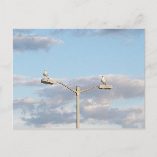 Vogels op een Lamp Post Briefkaart (Voorkant)