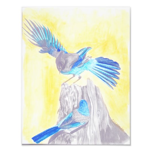 Vogels op een pomp foto afdruk (Voorkant)