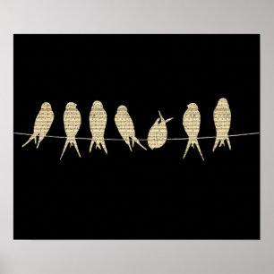 Vogels op een Poster