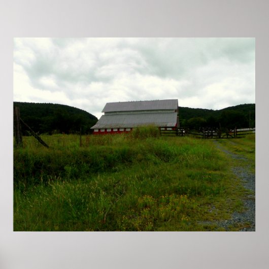 Vogels op een Rode Barn Poster (Voorkant)