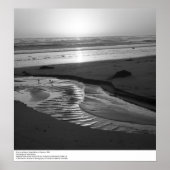 Vogels op een strand, Santa Barbara, 1966 Poster (Voorkant)