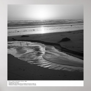 Vogels op een strand, Santa Barbara, 1966 Poster