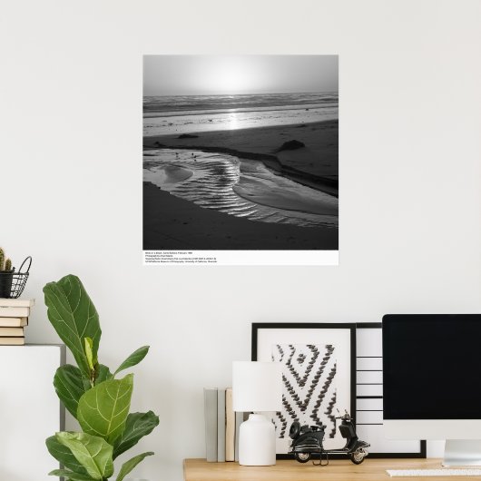 Vogels op een strand, Santa Barbara, 1966 Poster (Thuiskantoor)