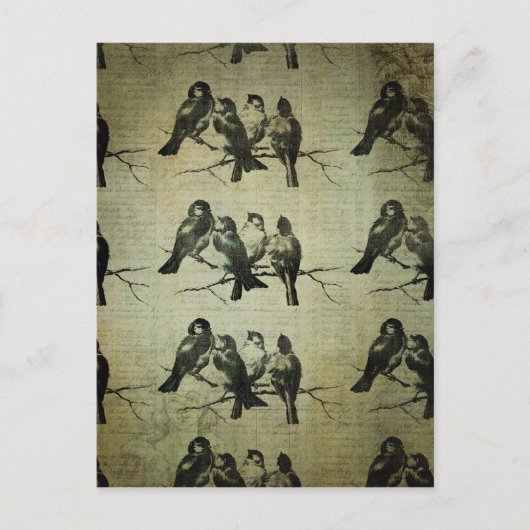 Vogels op een vertakking BAckground Briefkaart (Voorkant)